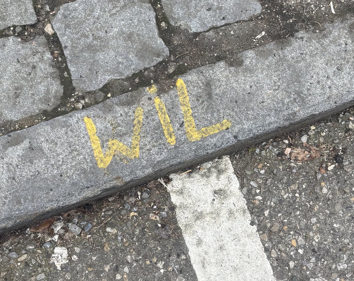 yasmin☆🐾WILL’S BDAY🎂🐰 tweet media