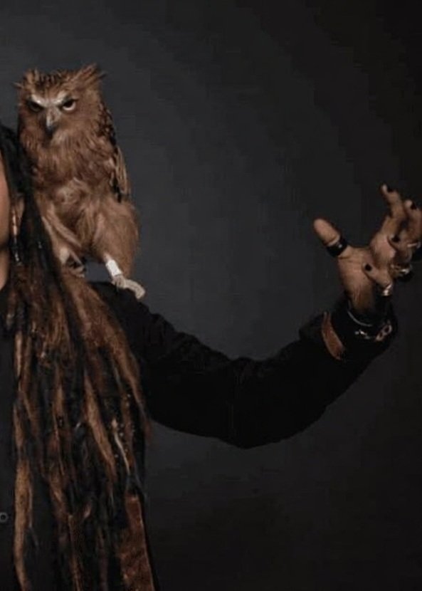 aril piterpen tweet media