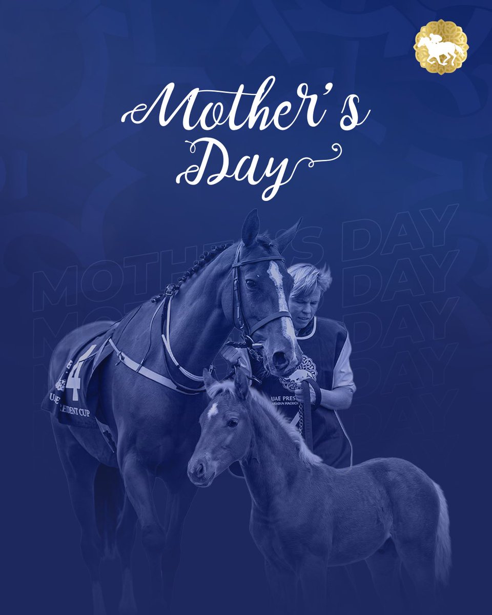 The President Cup tweet media