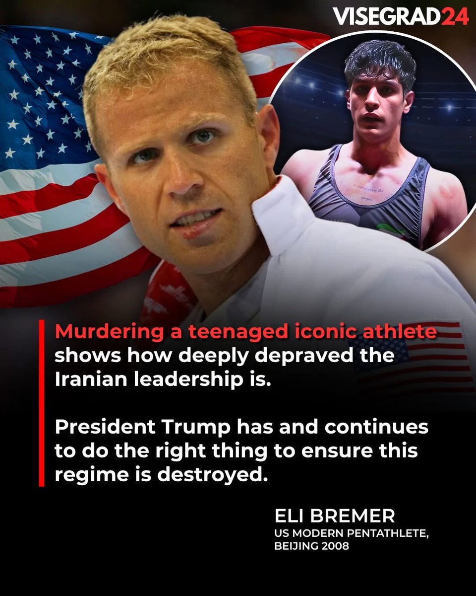 Visegrád 24 tweet media