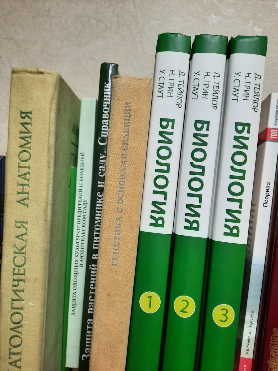 xSync 🇰🇵😼 tweet media