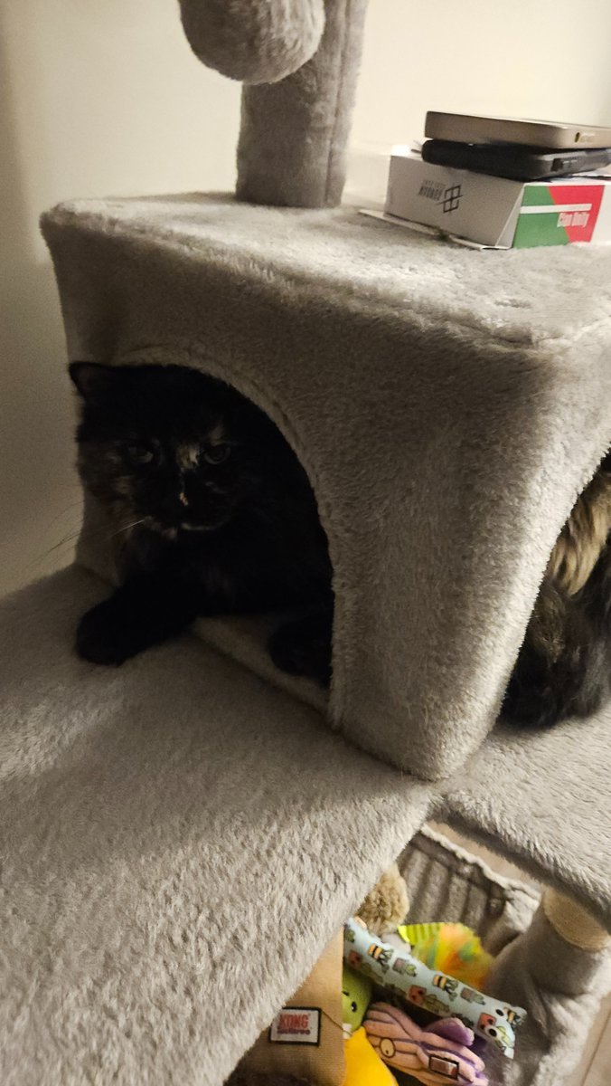 camfromcanada tweet media