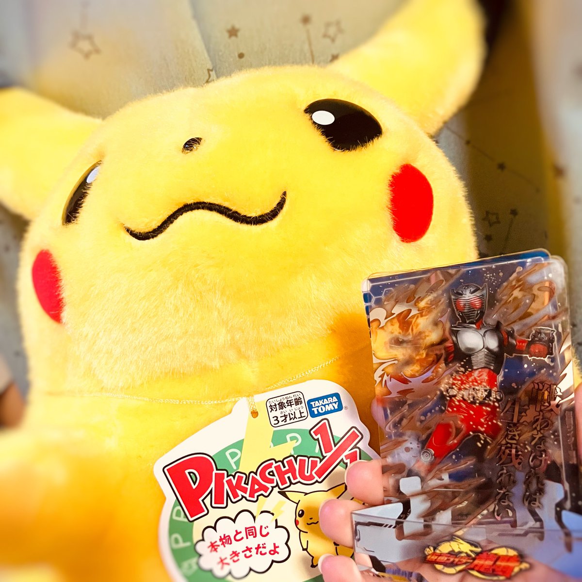 めい子 tweet media