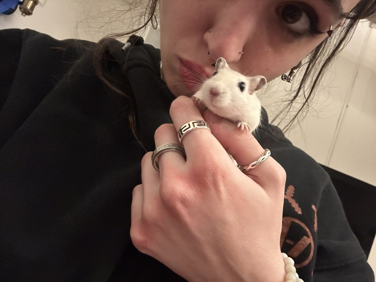 sylvy is snapping back🐇 tweet media