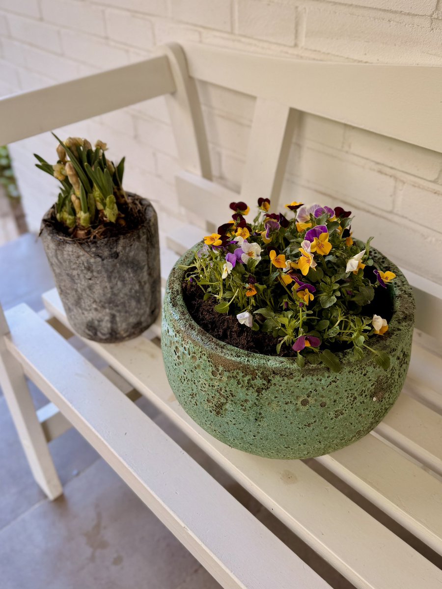 Frank (FOP) tweet media