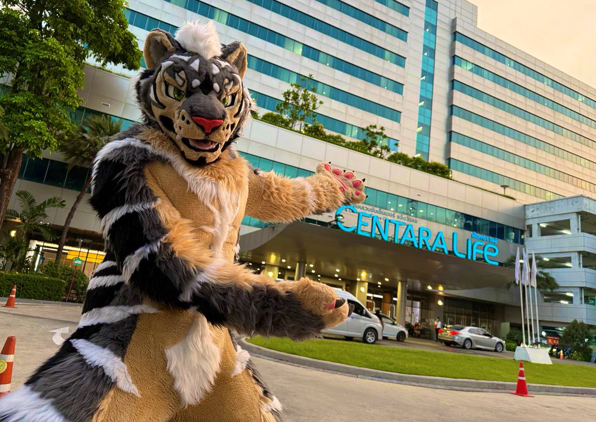 Zephyr🔜 Thaitails🇹🇭 tweet media