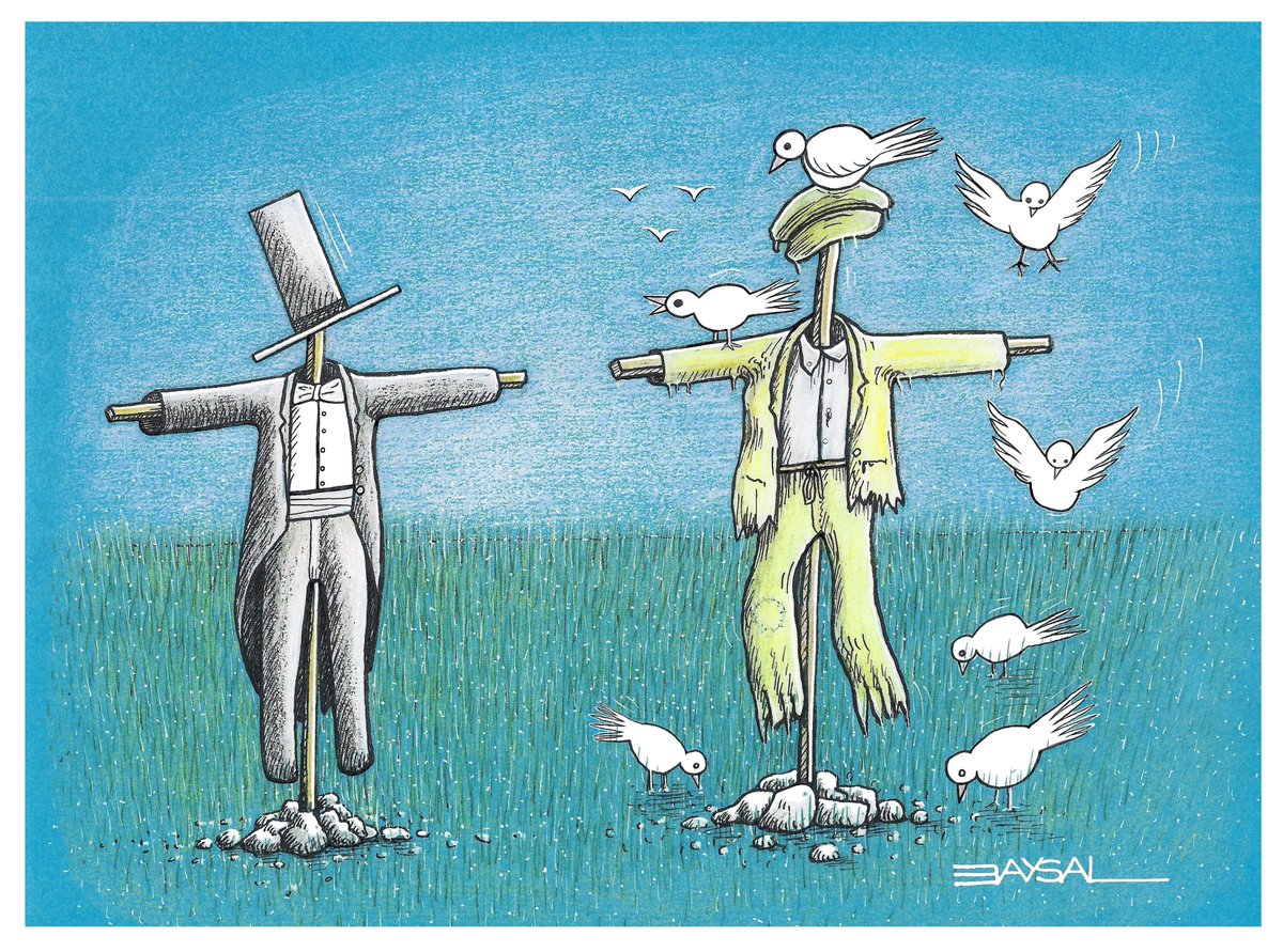 Ercan BAYSAL tweet media