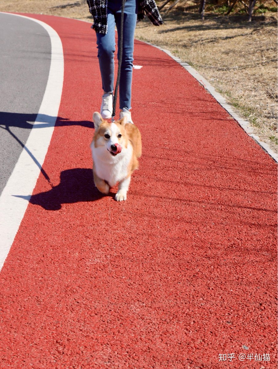  ρЯเήςέsŝ ₰   tweet media