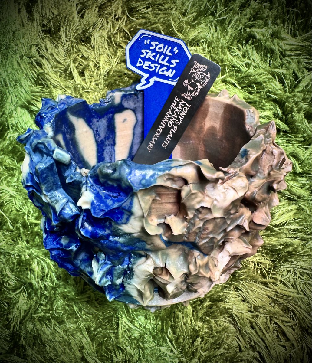 𓆟アレックめだか𓆟 tweet media