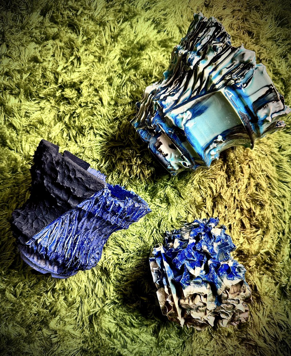 𓆟アレックめだか𓆟 tweet media