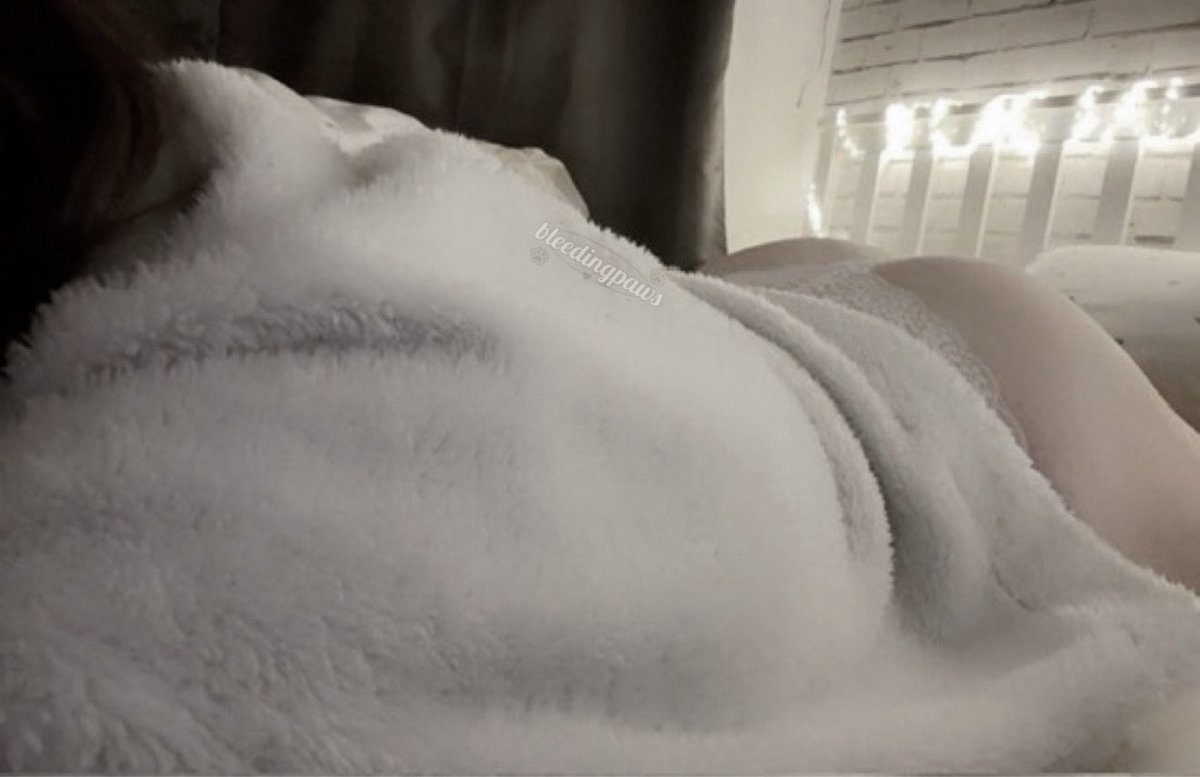 lana † tweet media