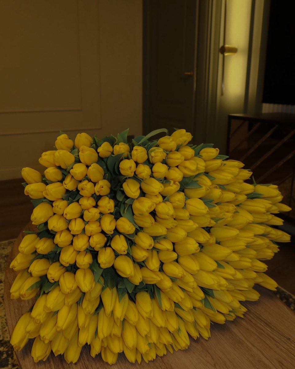 𝐚𝐮𝐫𝐨𝐫𝐚. tweet media