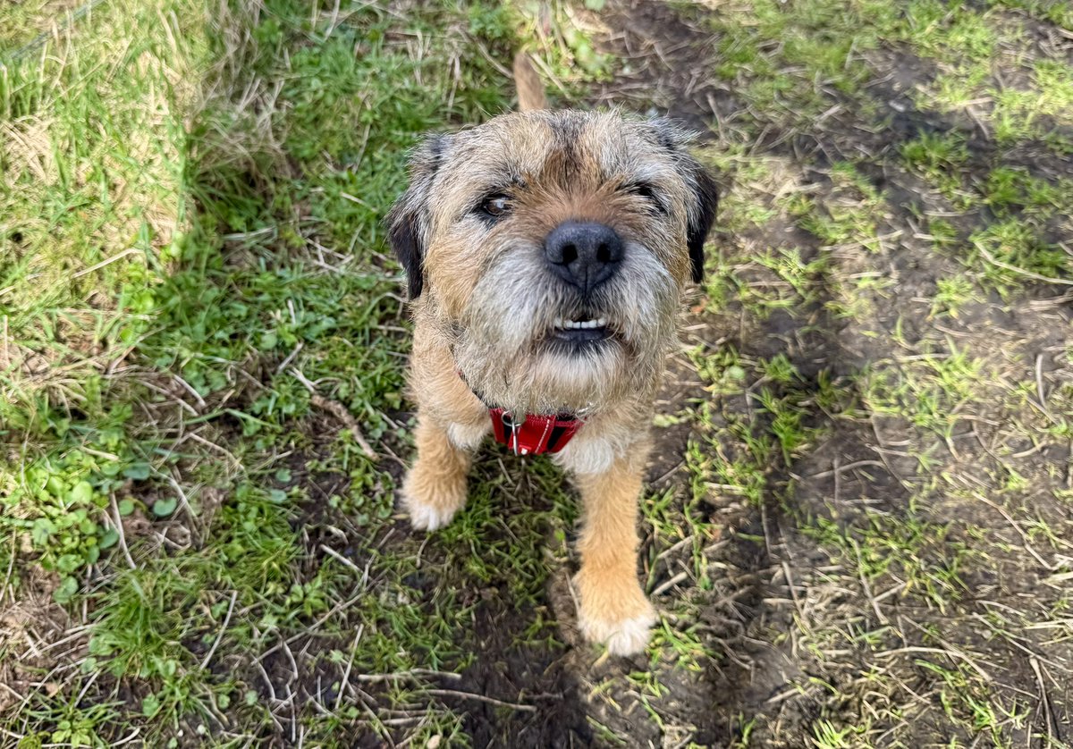 Lord Culter BT 🏴 Order of the IT tweet media