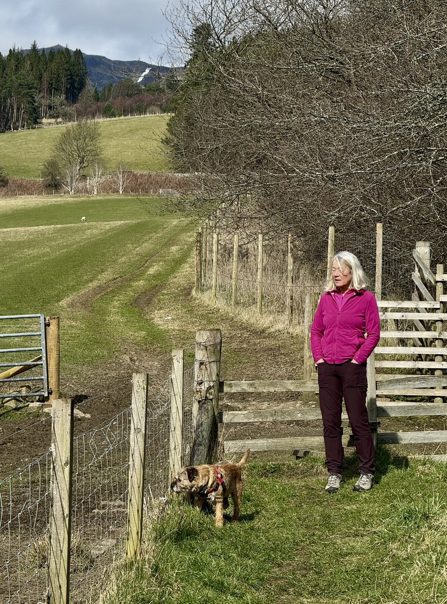 Lord Culter BT 🏴 Order of the IT tweet media