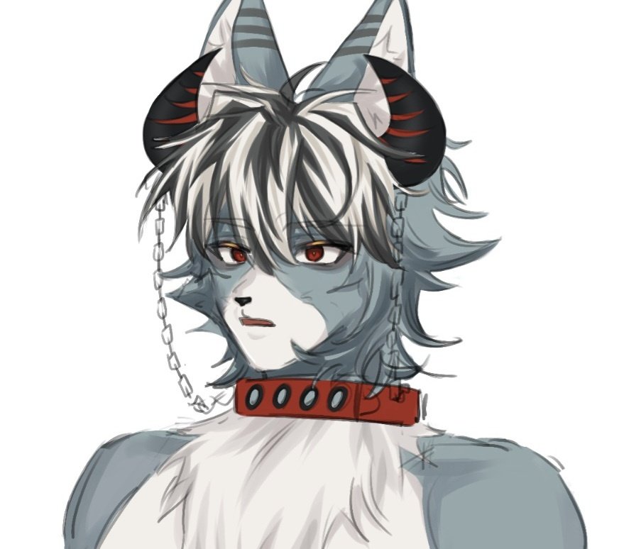 JELLY🐾/트친소 tweet media