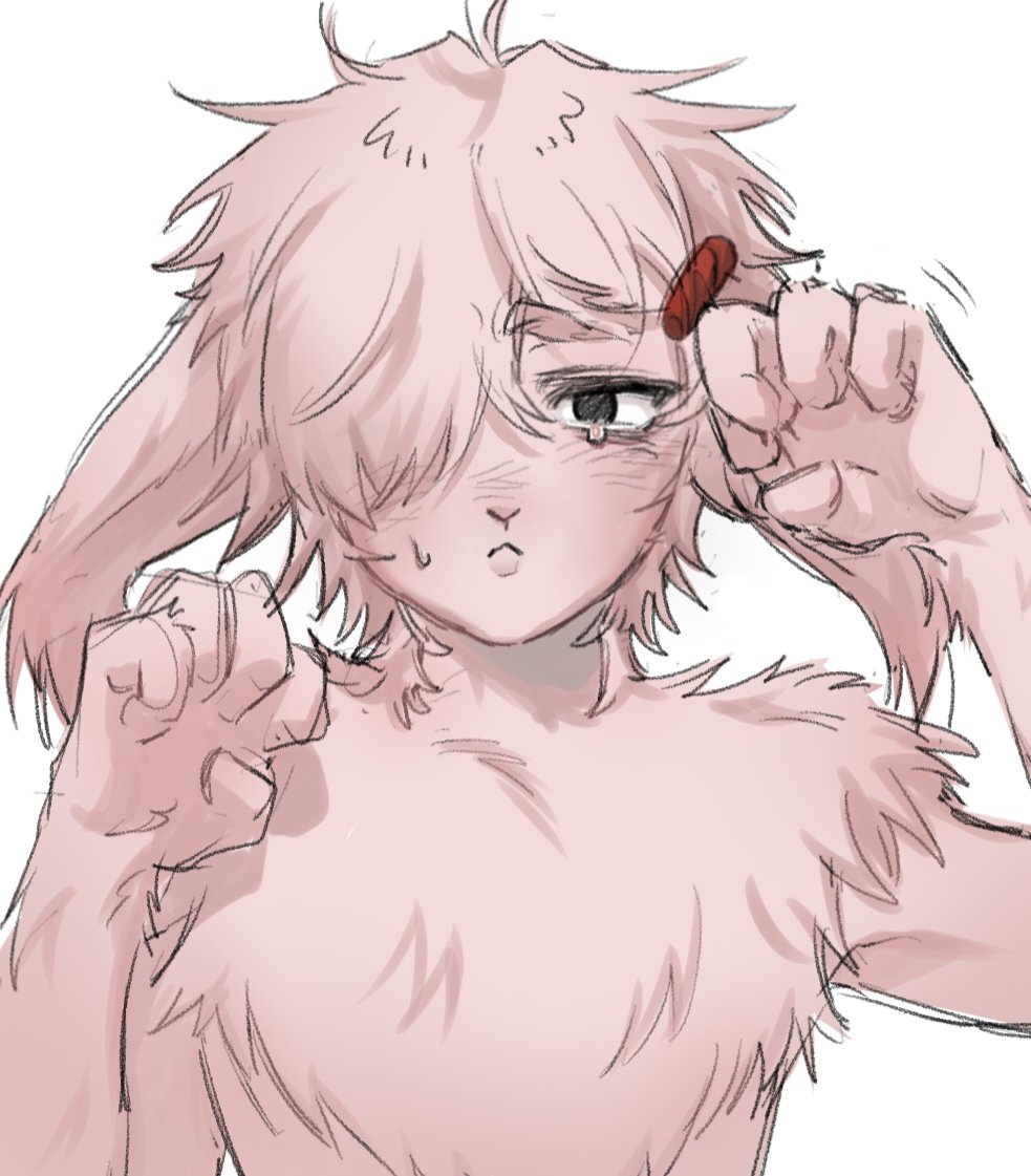 JELLY🐾/트친소 tweet media