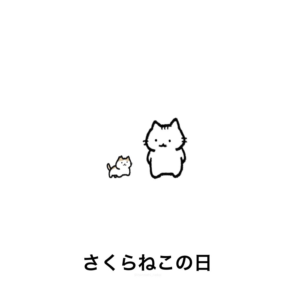 今日は何の日猫 tweet media