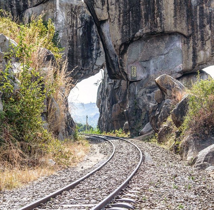 ROSALINE🦋 tweet media