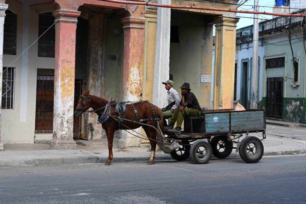 Emma Hitchcock tweet media