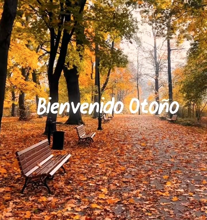 Marcelo Durruty tweet media