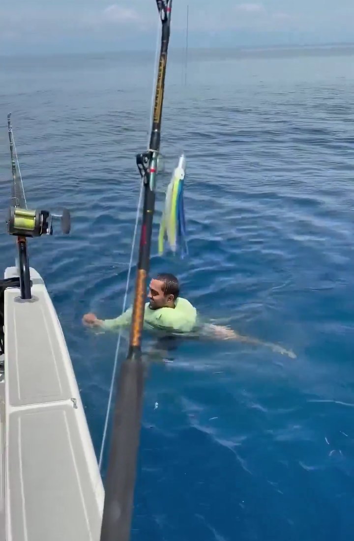 Qing Blessing tweet media