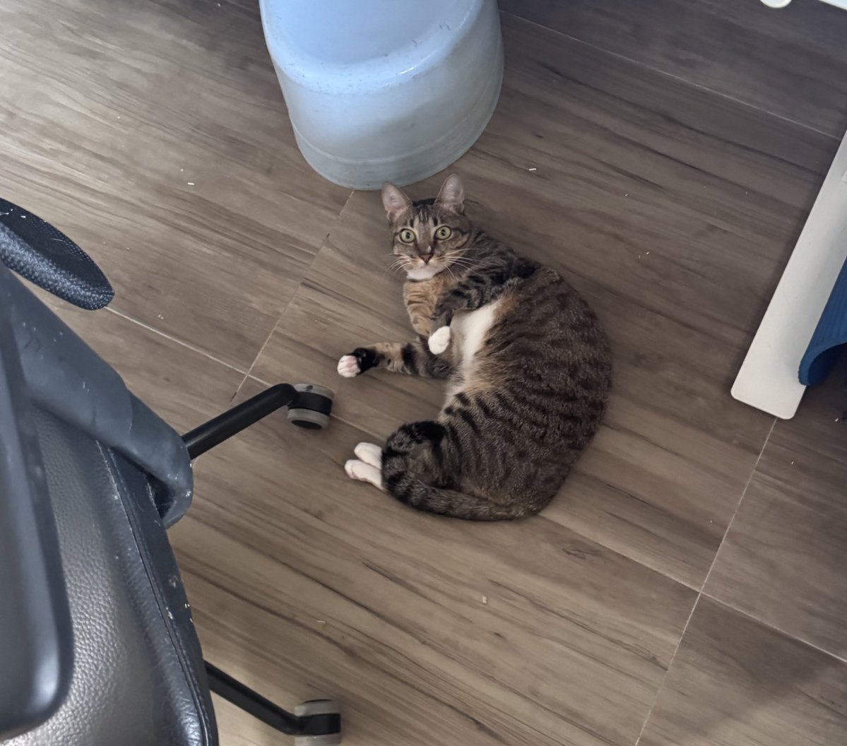 宮田一海 tweet media