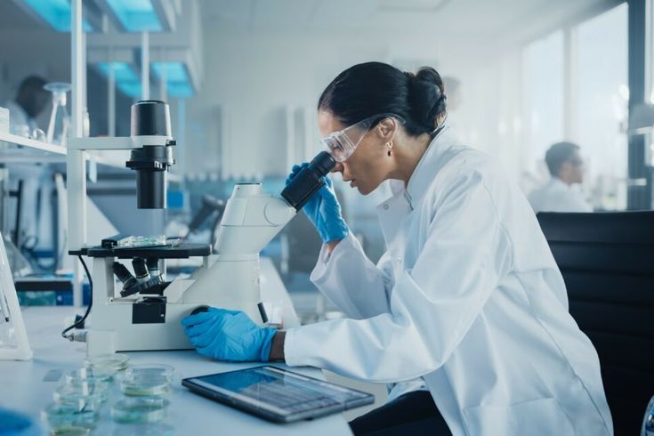 For all Curious tweet media