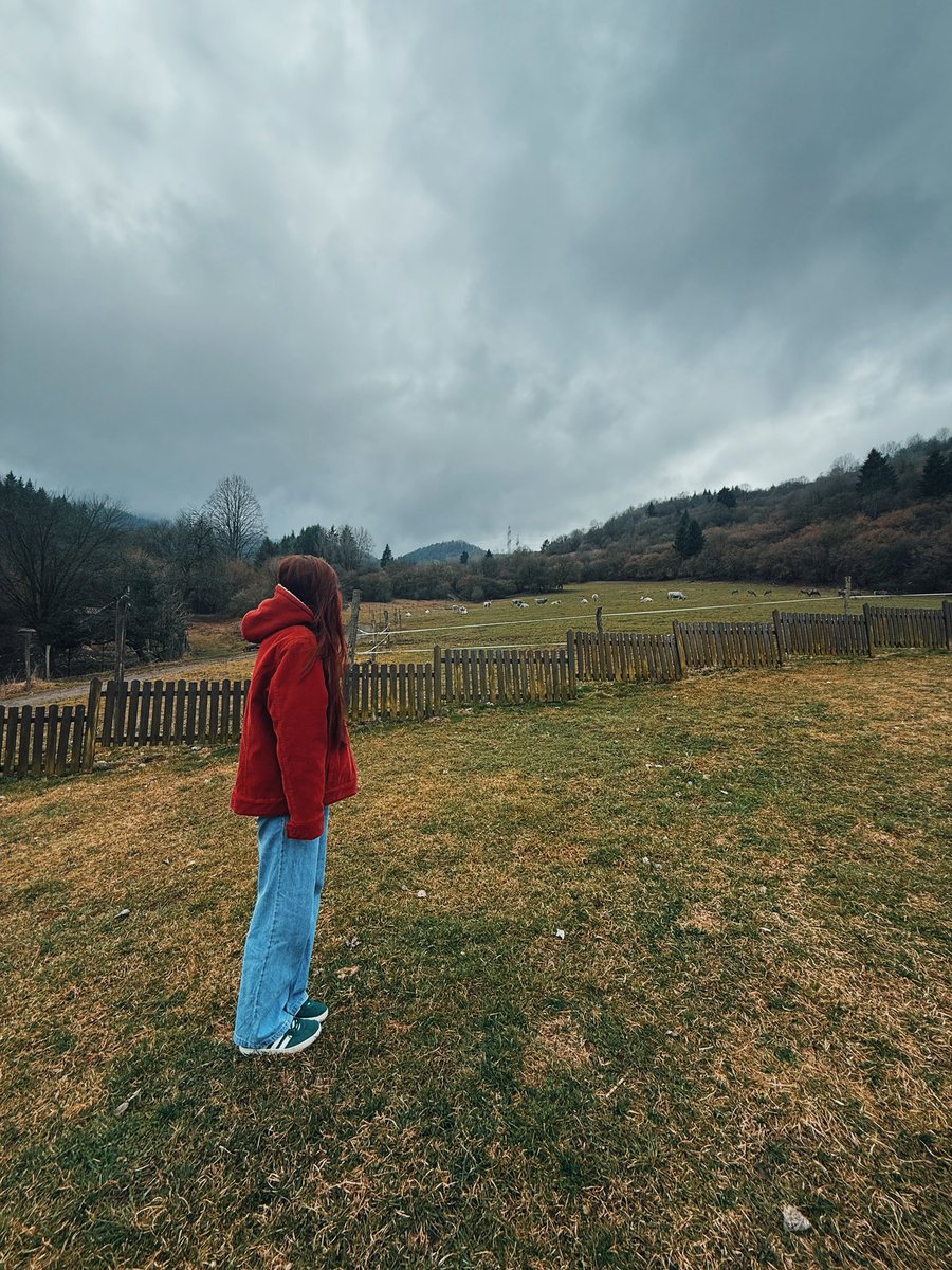 pixelianska tweet media