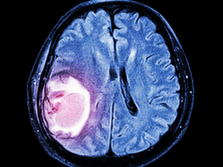 For all Curious tweet media