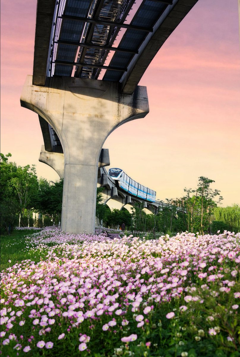 醉春烟💗（互关 互fo） tweet media