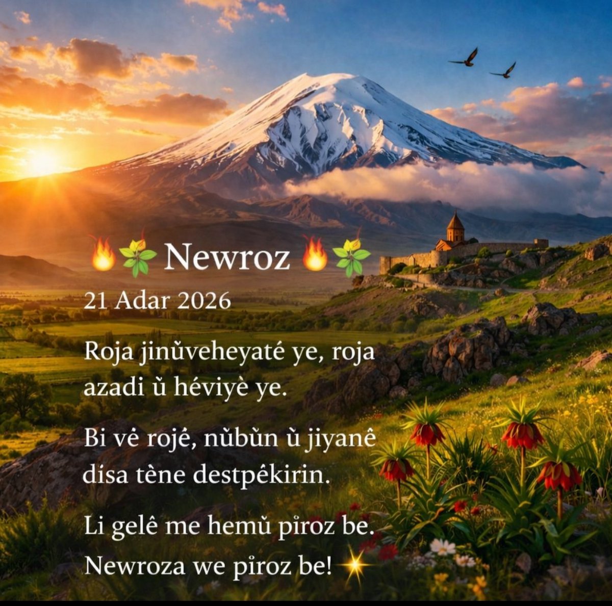 Hanifi TAŞKIN tweet media