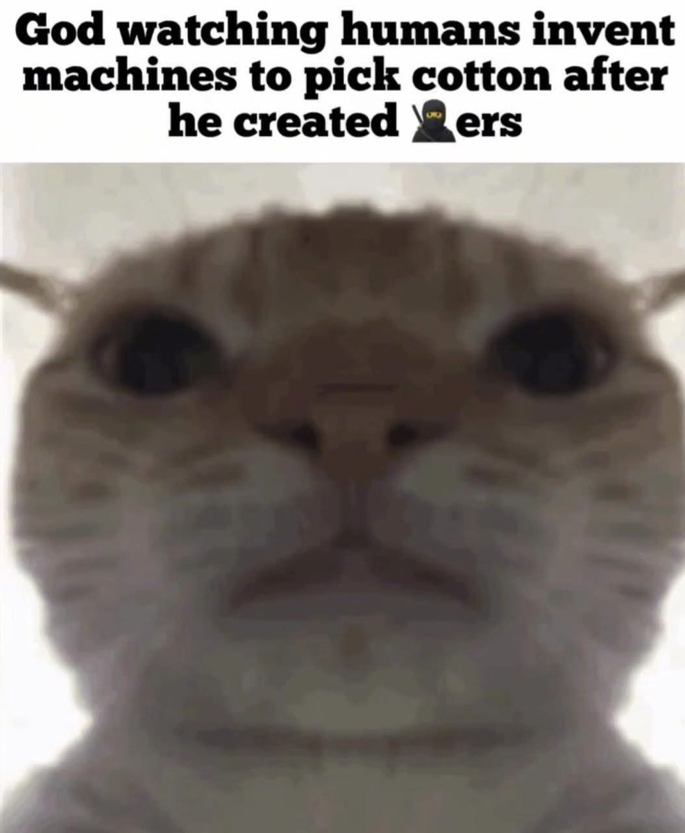 ℍ𝕖𝕚𝕘𝕙𝕥 𝕊𝕦𝕡𝕣𝕖𝕞𝕒𝕔𝕚𝕤𝕥 (Brendan) tweet media