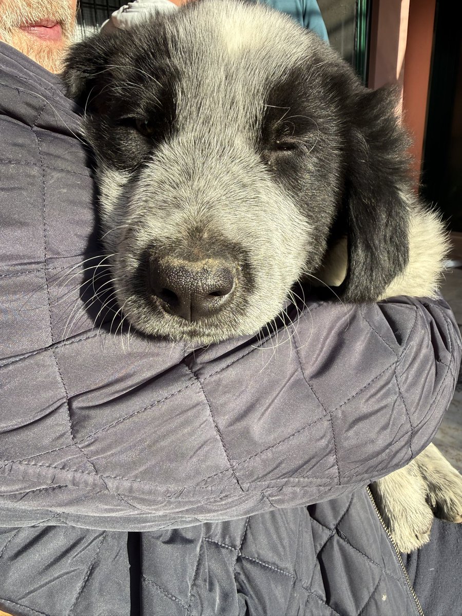 Ωωωωωmariomariomario tweet media