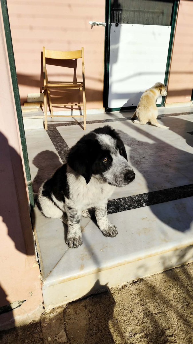 Ωωωωωmariomariomario tweet media