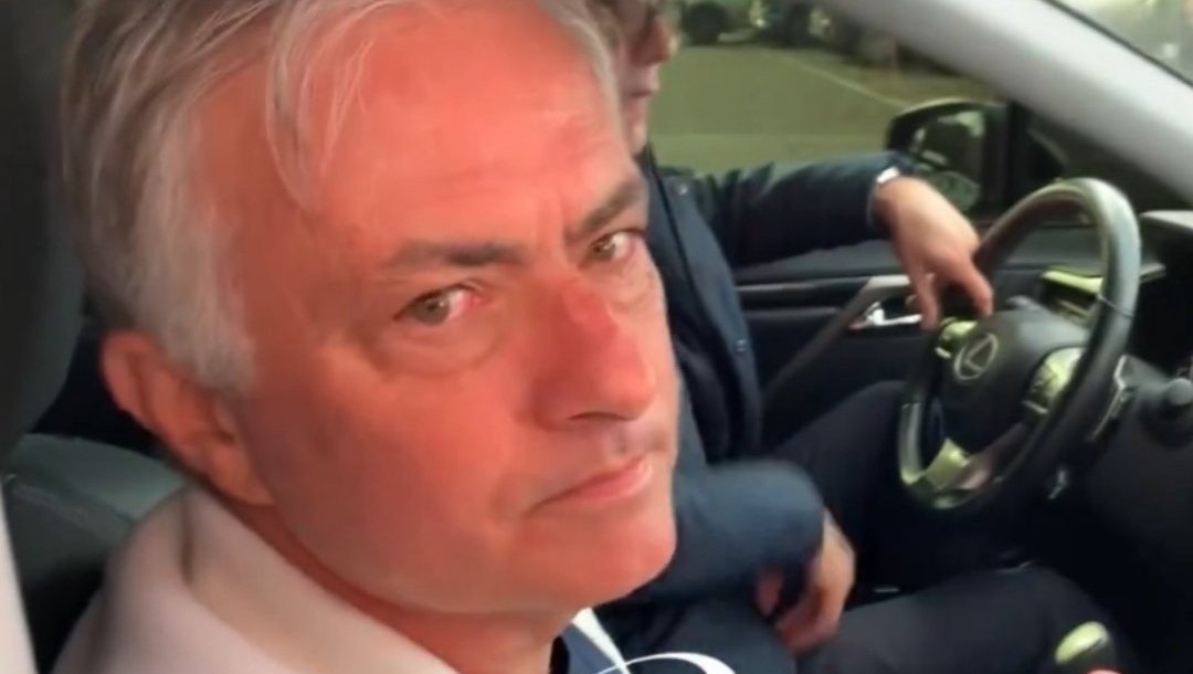 Stewolf 🐺 tweet media