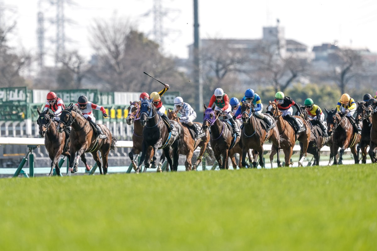 netkeiba tweet media