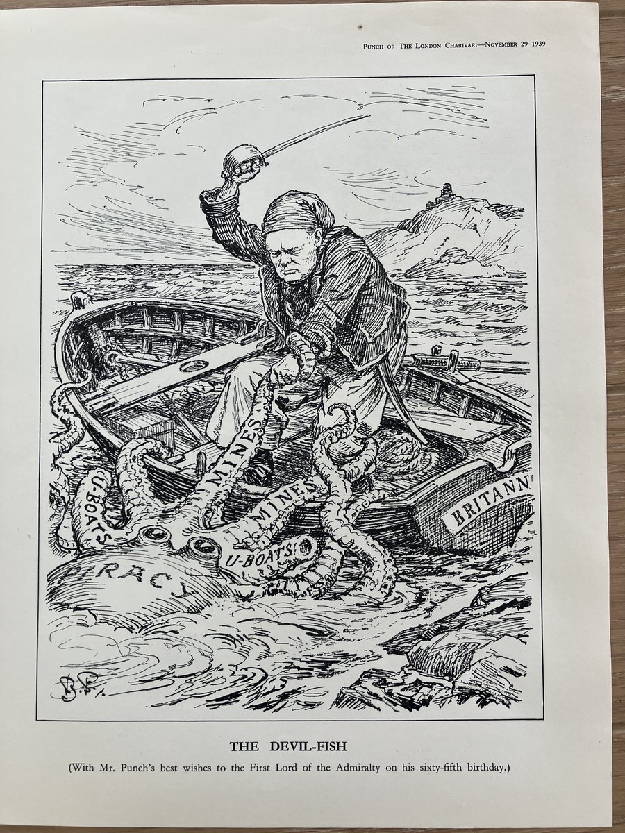 Will Iredale tweet media