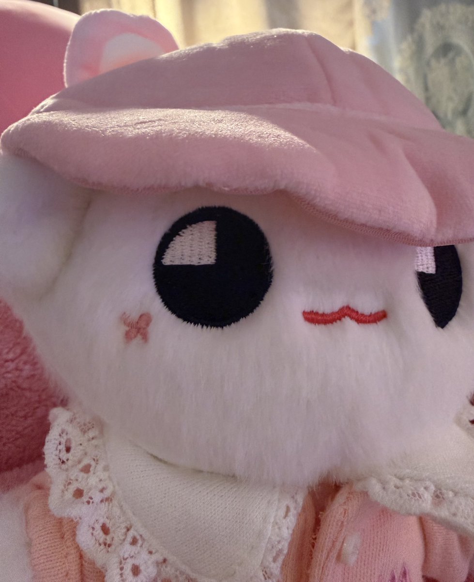 mimi ♡ tweet media