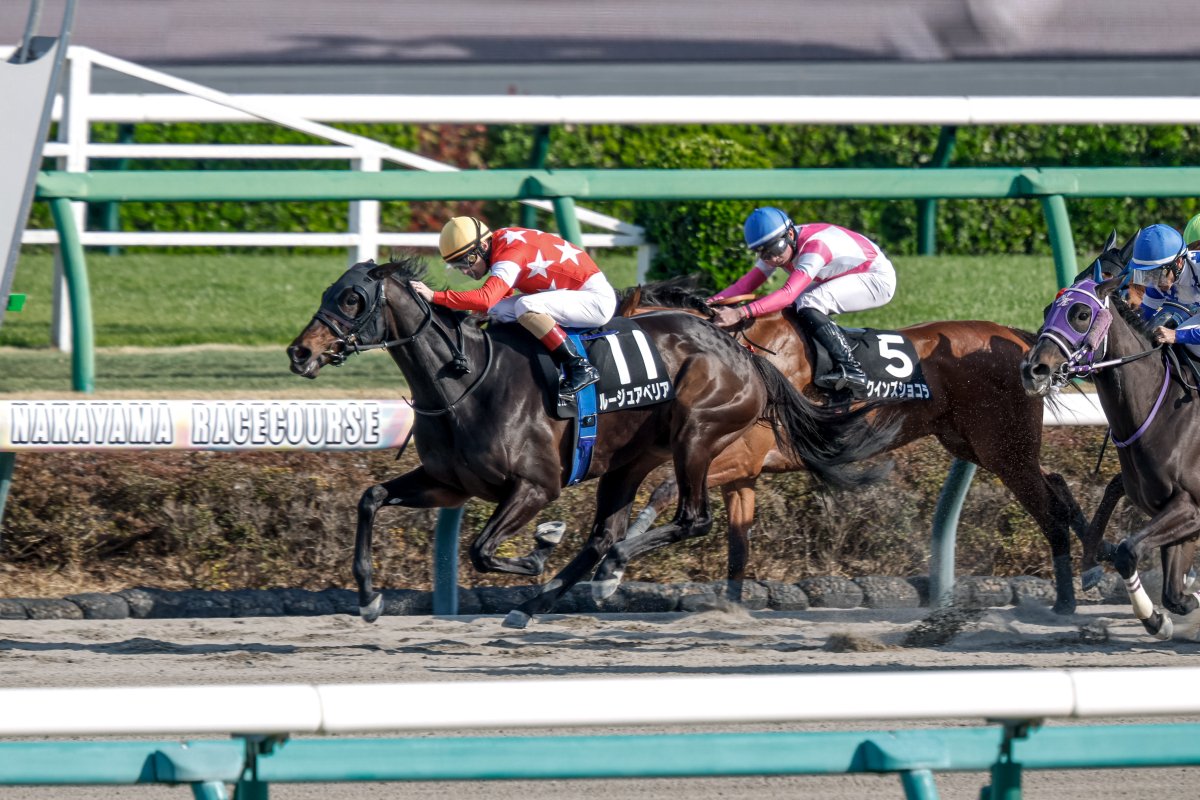 netkeiba tweet media