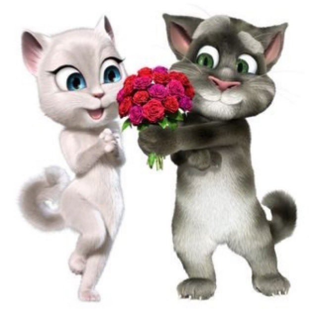 cla 🐈‍⬛ tweet media