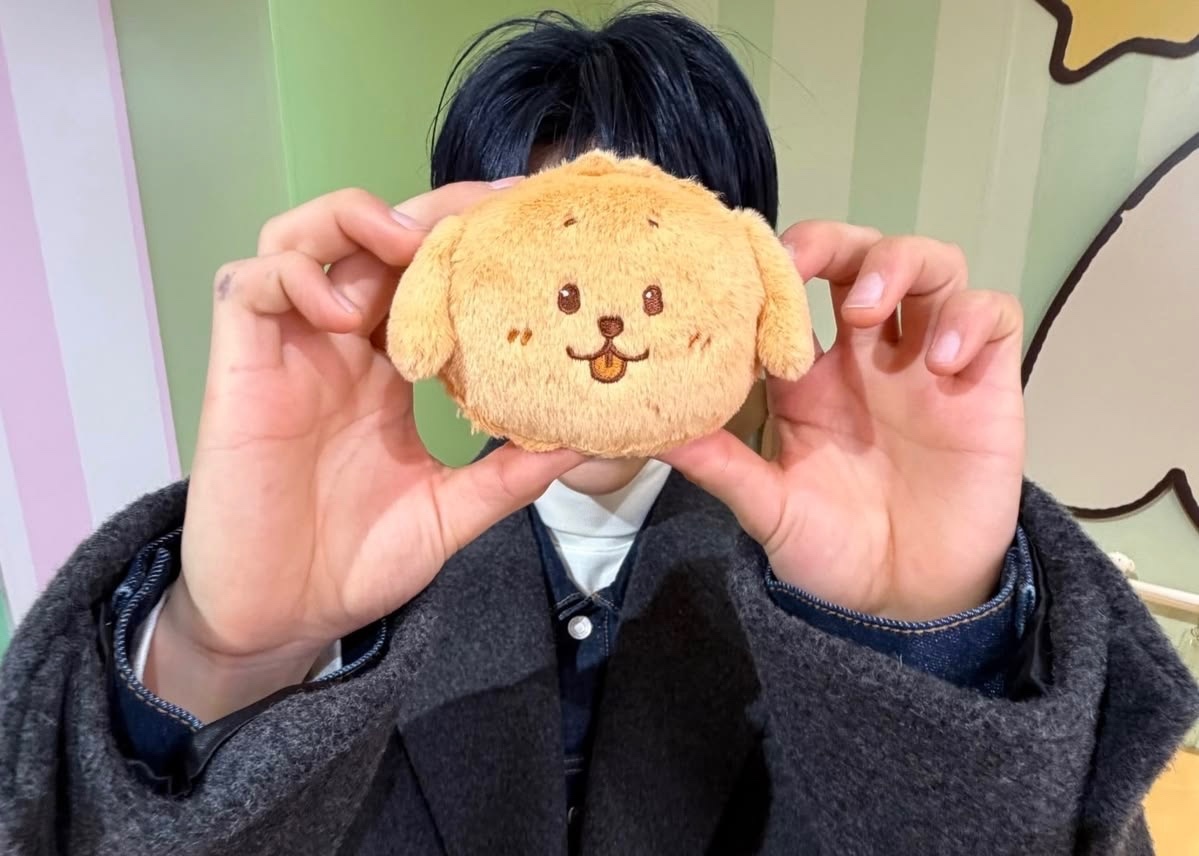 🐚 SELFOLLMFS tweet media