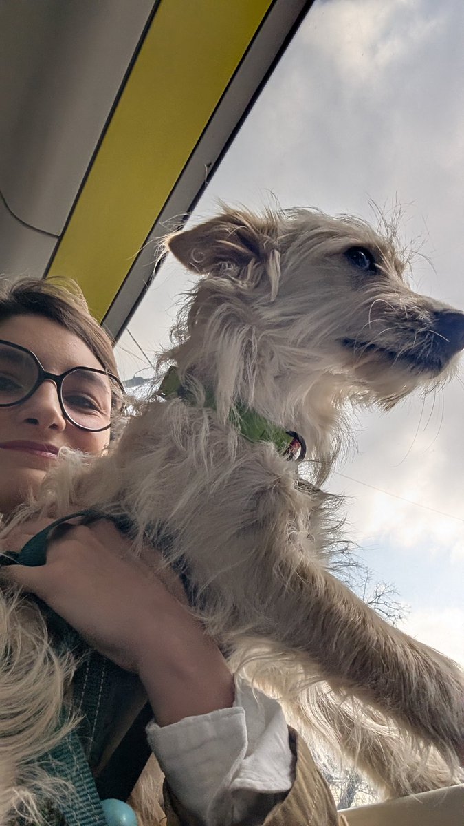 Вона любить їздити в автобусах, а я спостерігати за людьми, які їй посміхаються в іншому транспорті