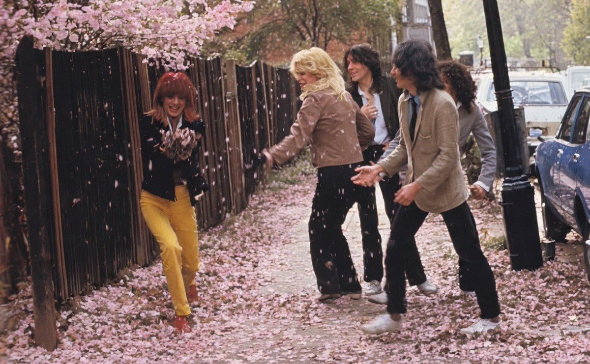 マリリン tweet media