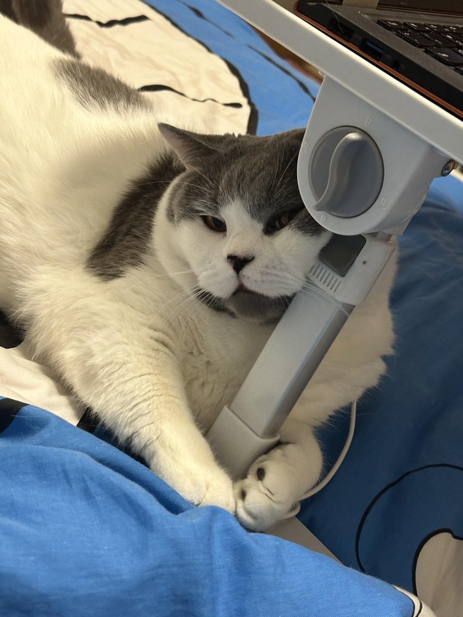 Miguel Antonio tweet media