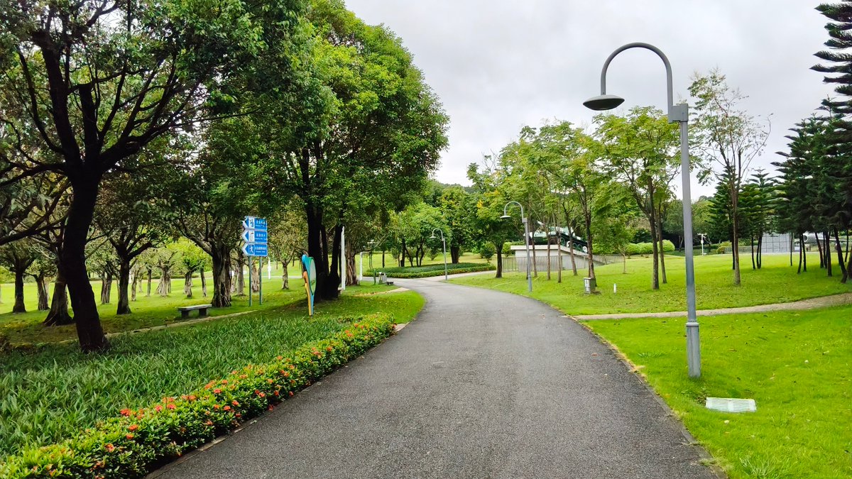 Md : ALamin Said tweet media