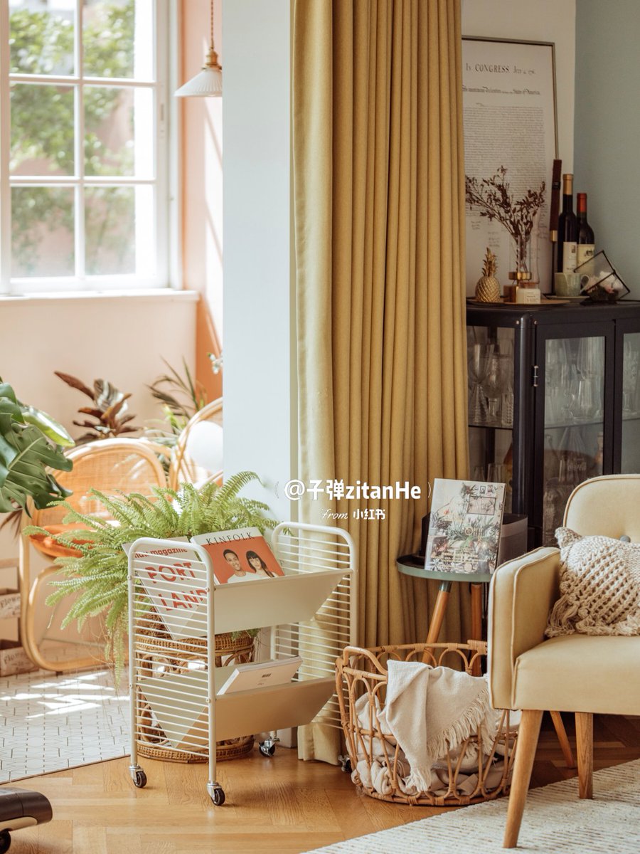 Tony Pichardo tweet media