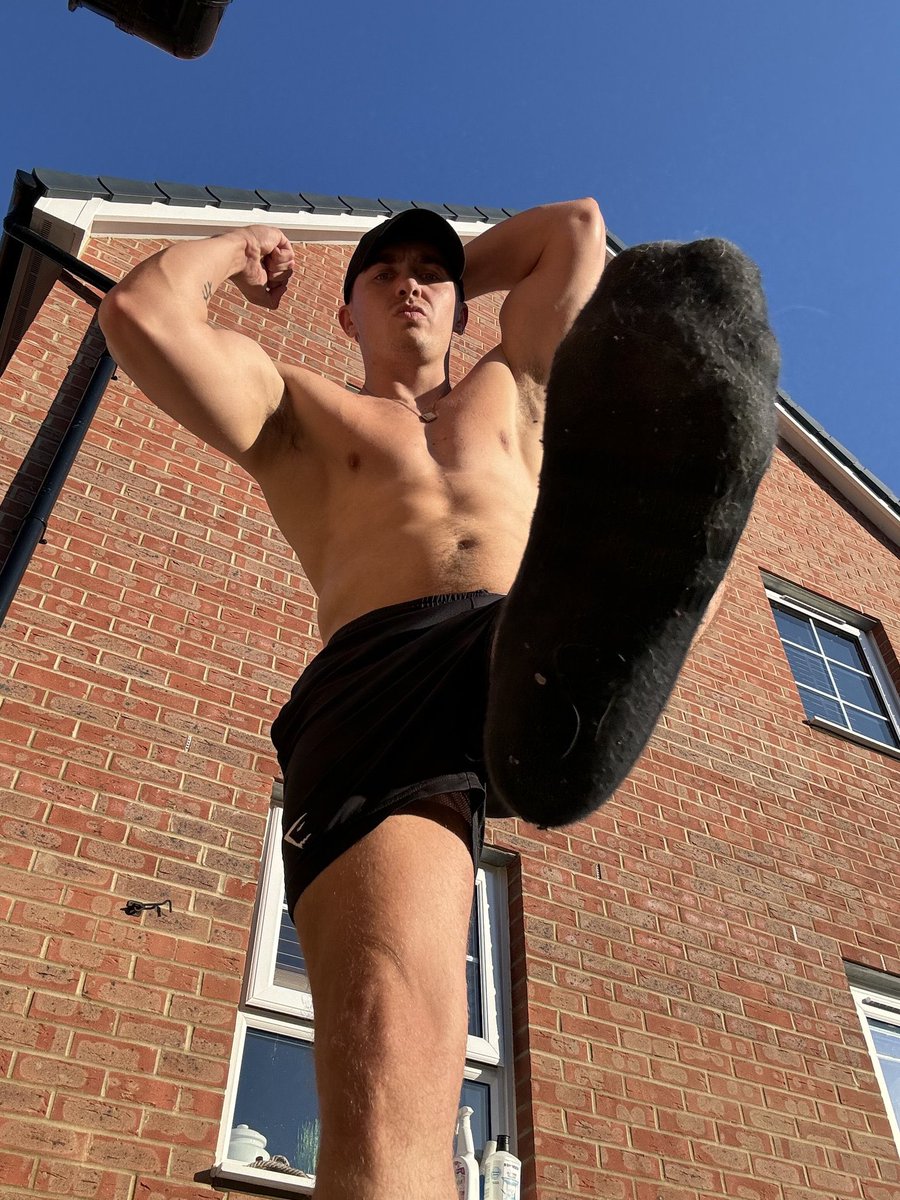 Alpha Alex 🐺 tweet media