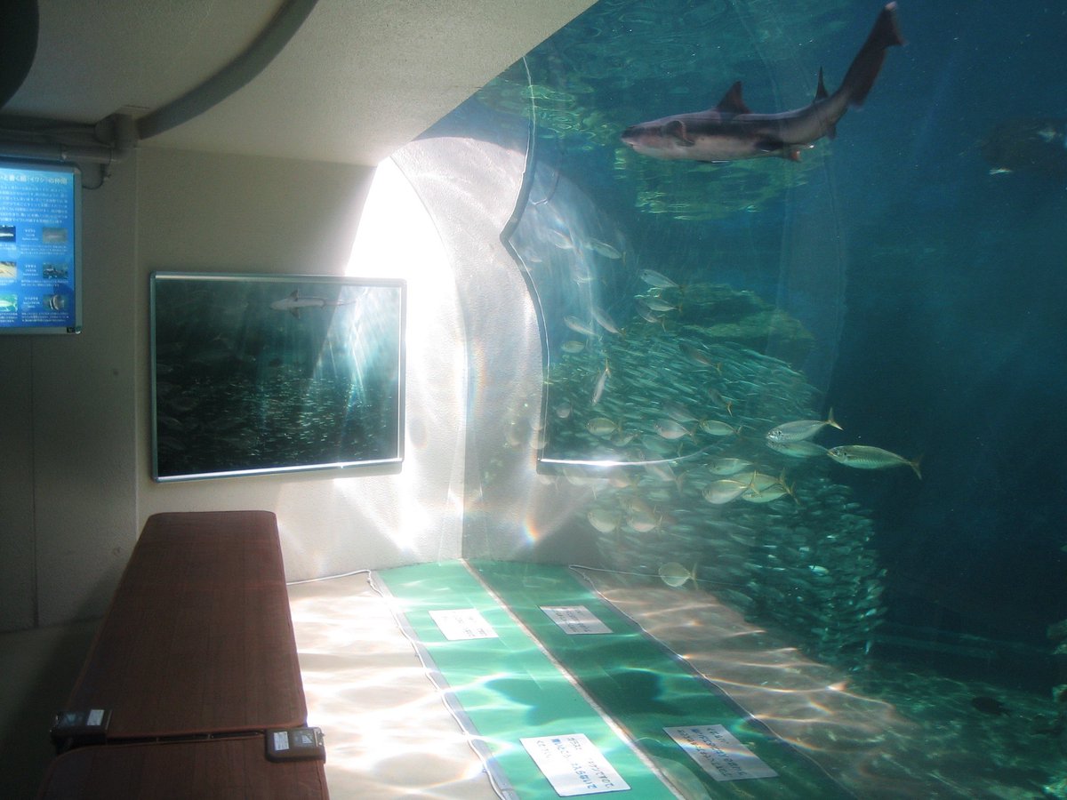 nagi𓅫⸒⸒ tweet media