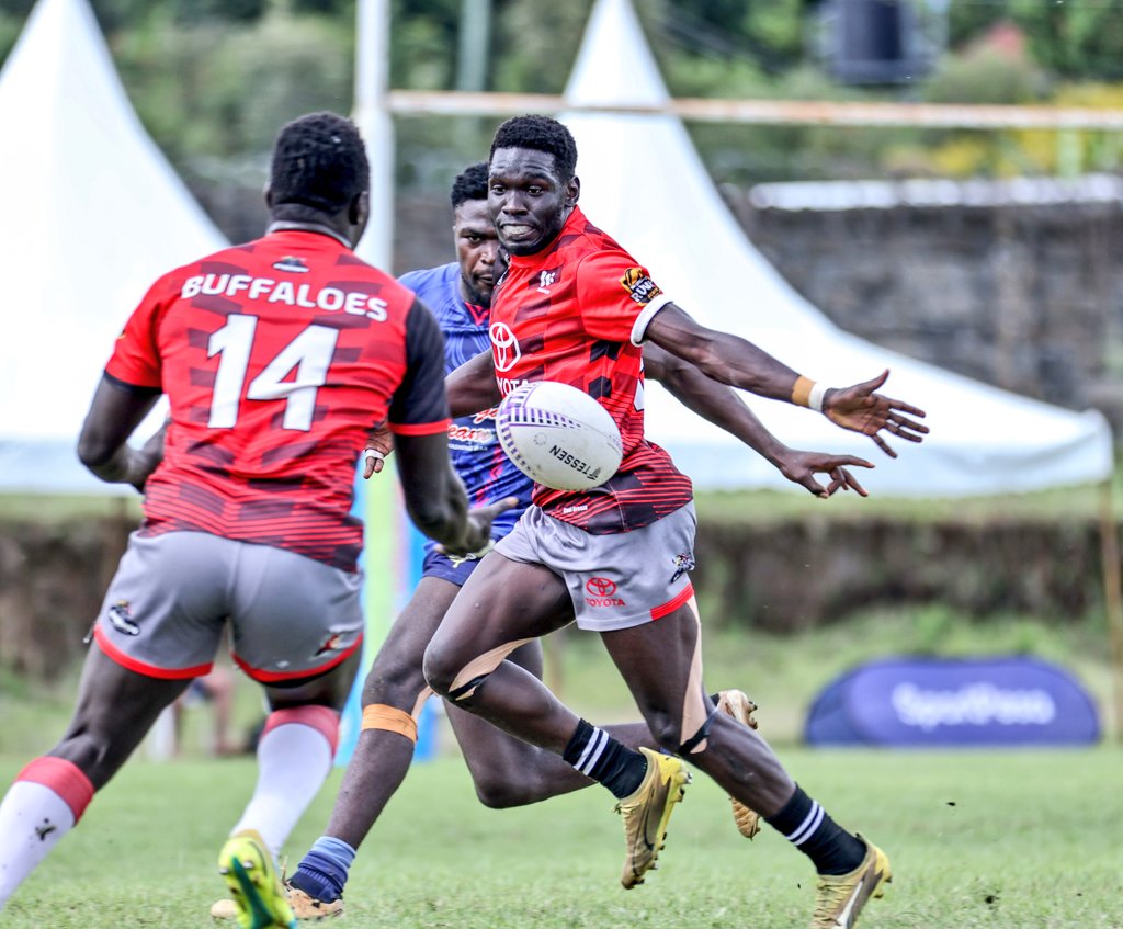 Buffaloes Rugby Club tweet media