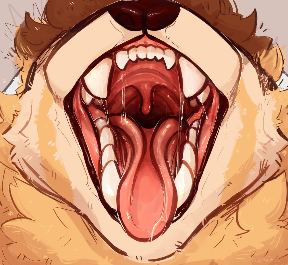 Panda boy tweet media